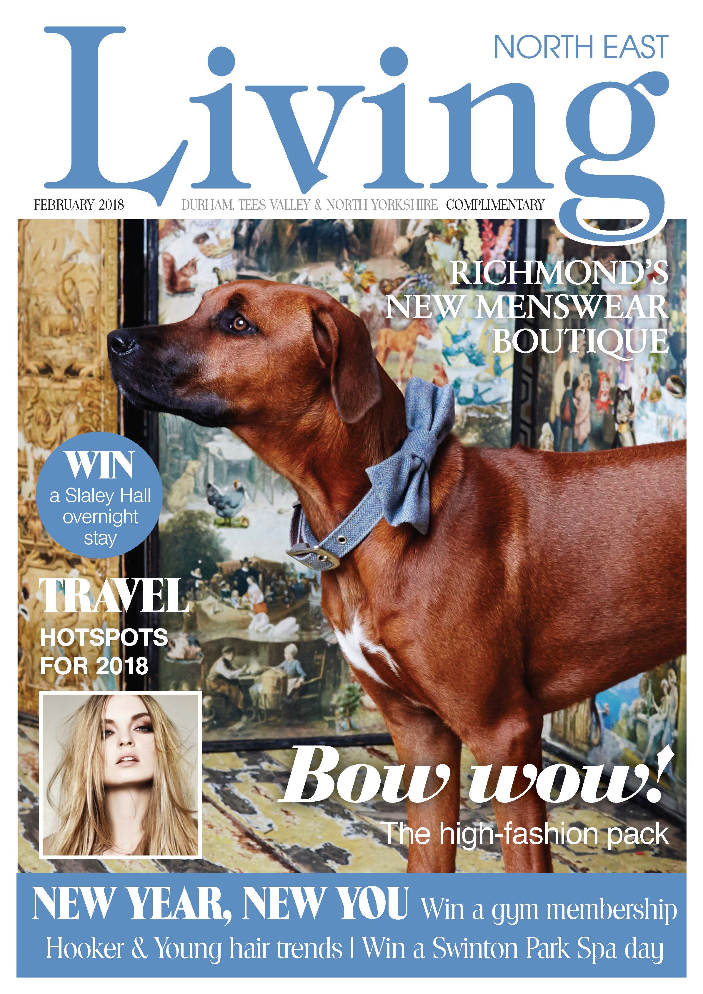 dog, dogs, style, magazine, press, editorial, northeast, living, bowtie