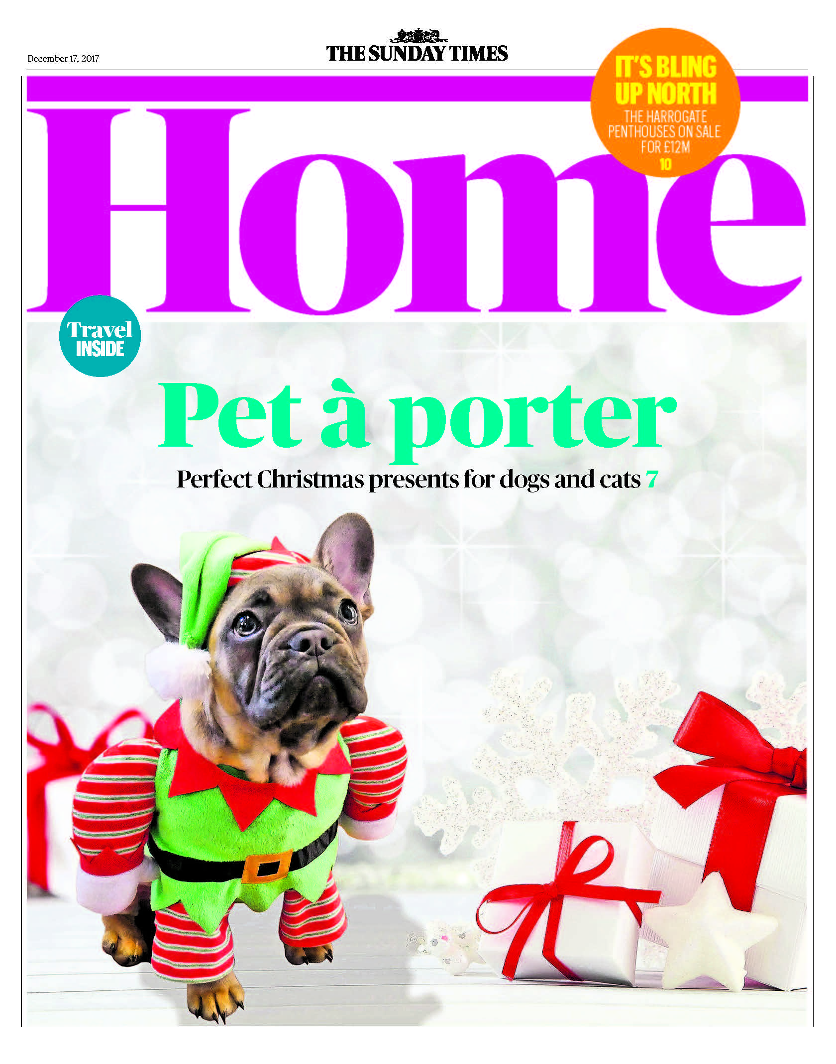 dog, dogs, style, magazine, press, editorial, home, sunday times