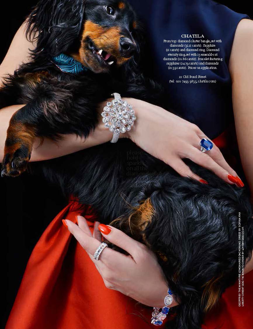 dog, dogs, style, magazine, press, editorial, tatler