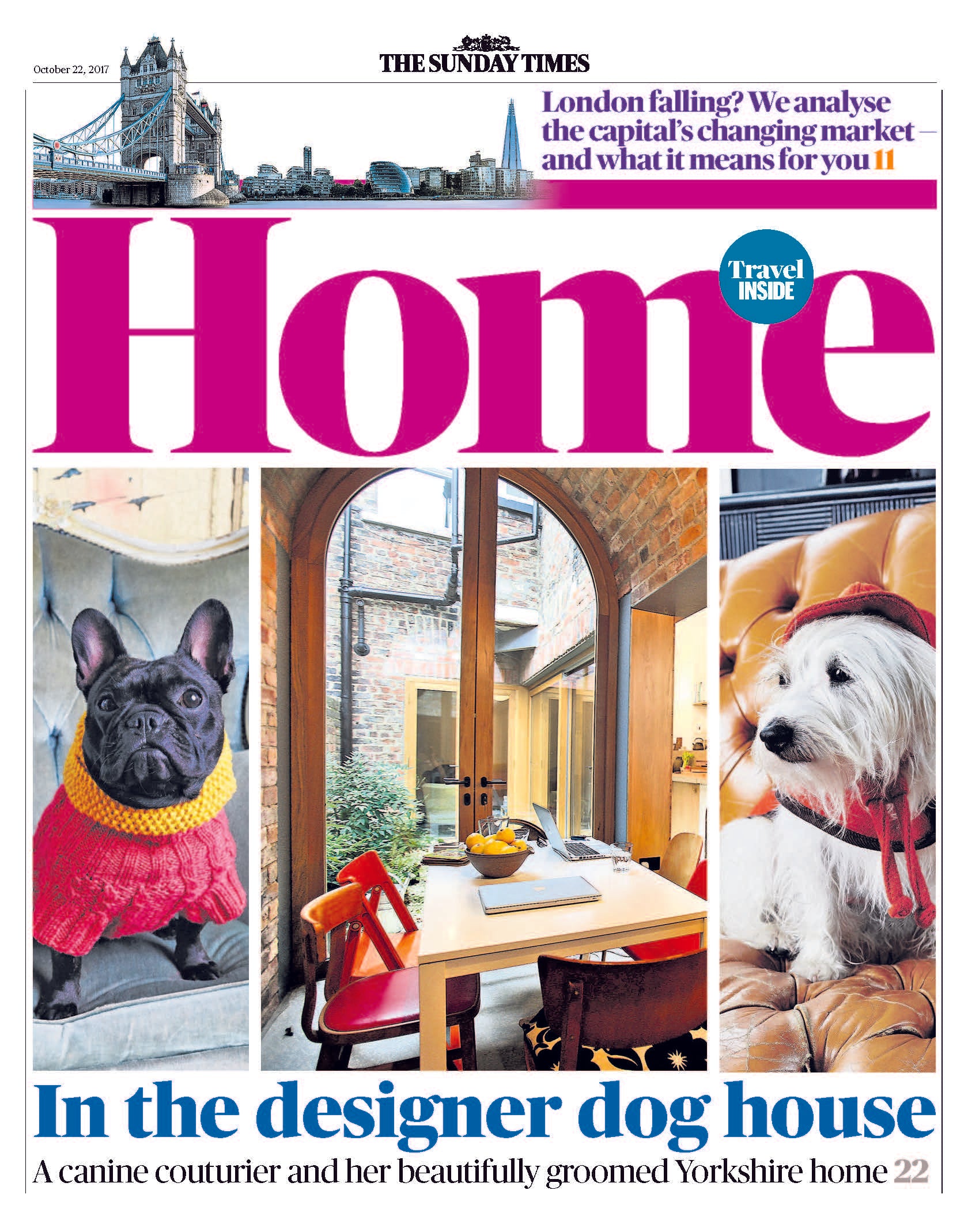 dog, dogs, style, magazine, press, editorial, home, designer, dog, house