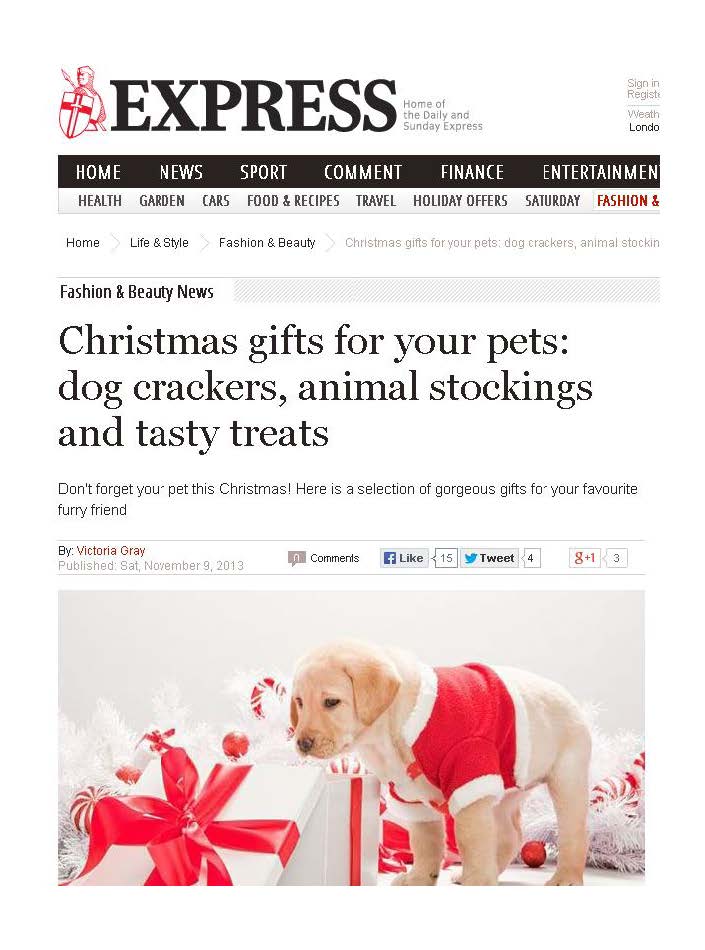 dog, dogs, style, magazine, press, editorial, express, christmas