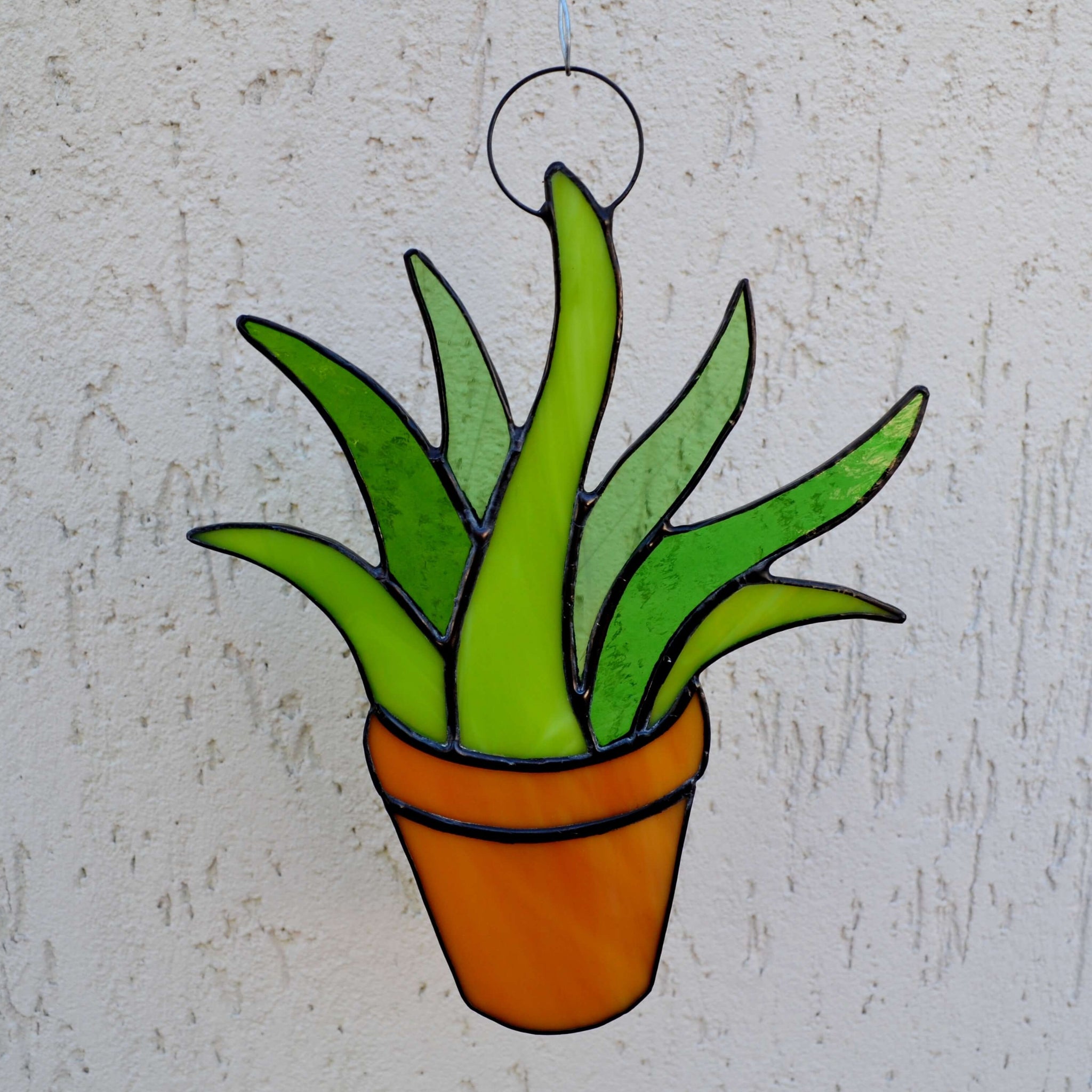 potted succulent drawing