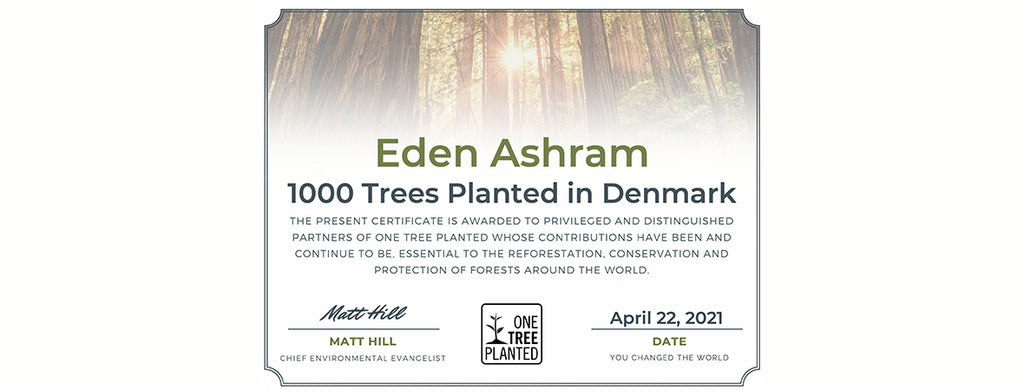 1000 tree certificate