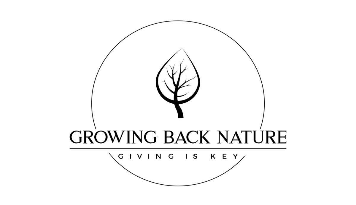 Growing Back Nature