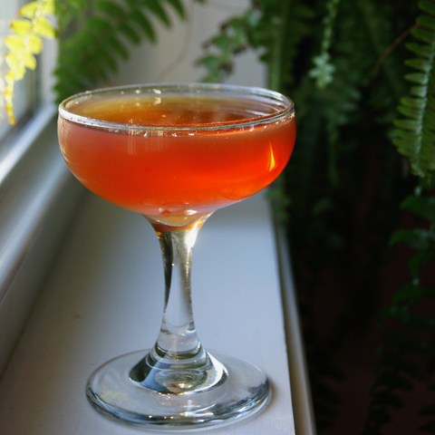 a luminous orange red cocktail in a coupe, on a softly lit windowsill, the fronds of a fern in the background. The green of the fern and the red-orange of the cocktail creative a visually pleasing complementary contrast.