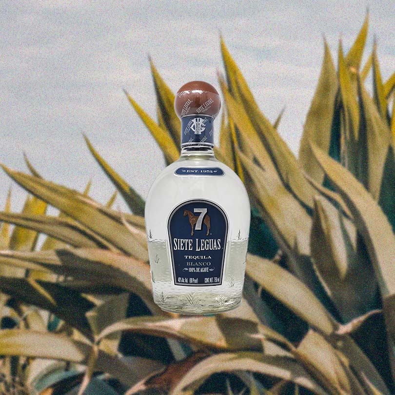 Siete Leguas Tequila Blanco