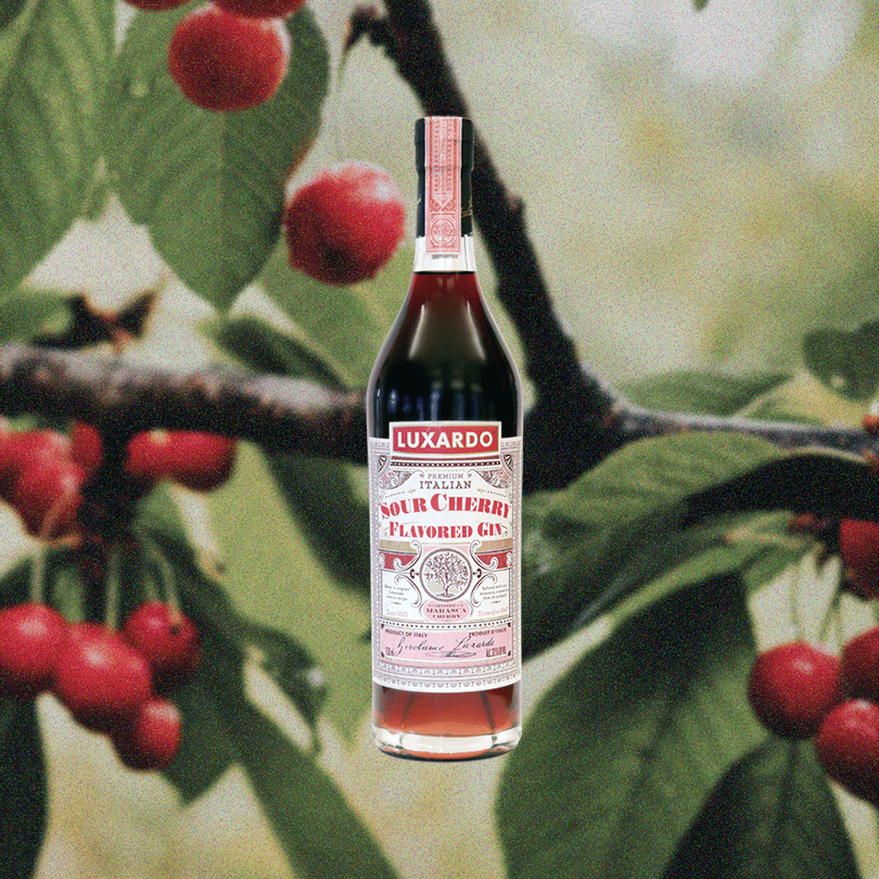 Luxardo Sour Cherry Gin