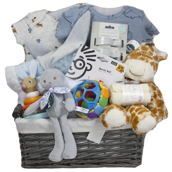Baby Gift Baskets Delivery | Baby Gifties - Toronto, Canada
