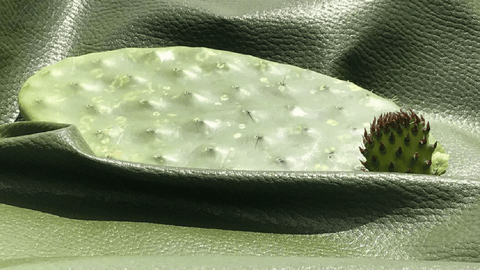 Karl Lagerfeld Just Launched a Vegan Cactus Leather Bag