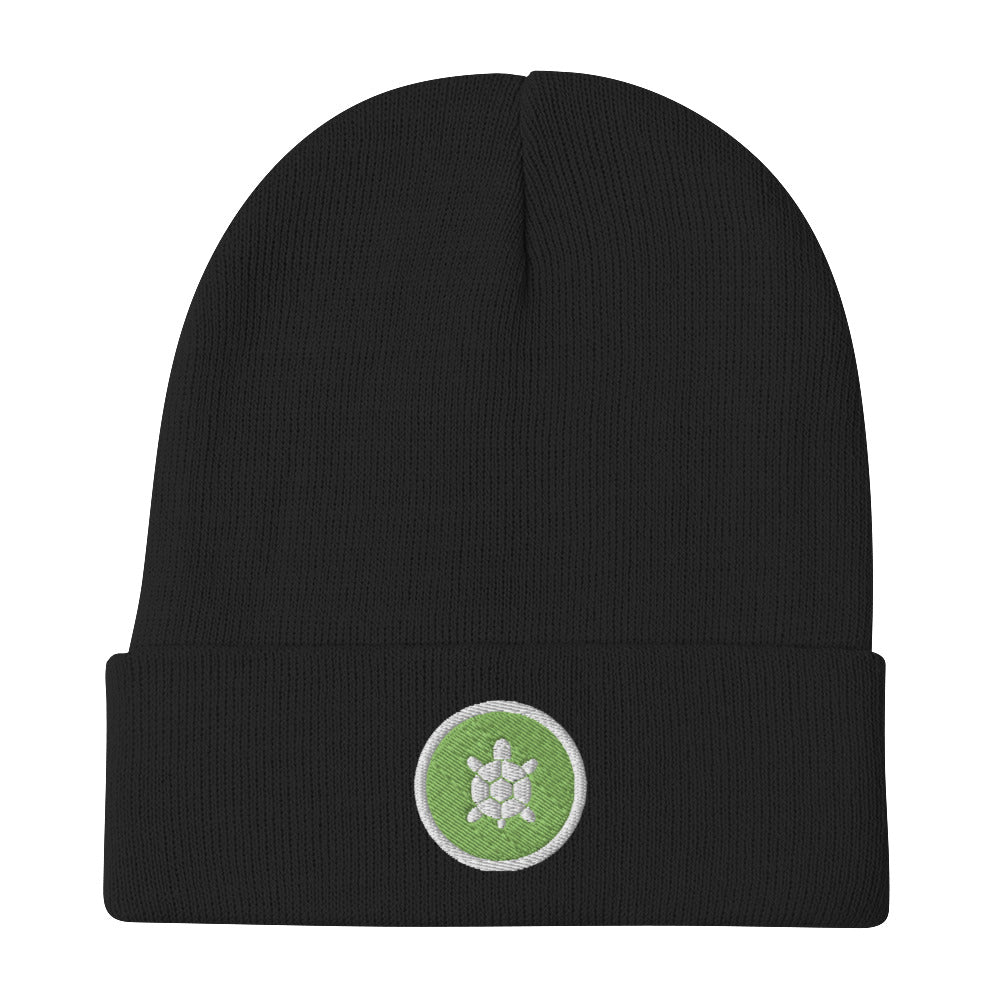 Embroidered Tracy the Turtle Beanie – CodeHS