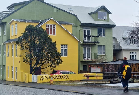 Reykjavík les maisons colorées