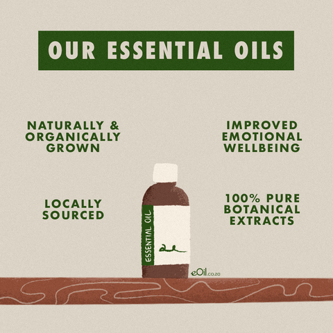 essential oils, essential oil benefits, benefits of essential oils, eOil.co.za
