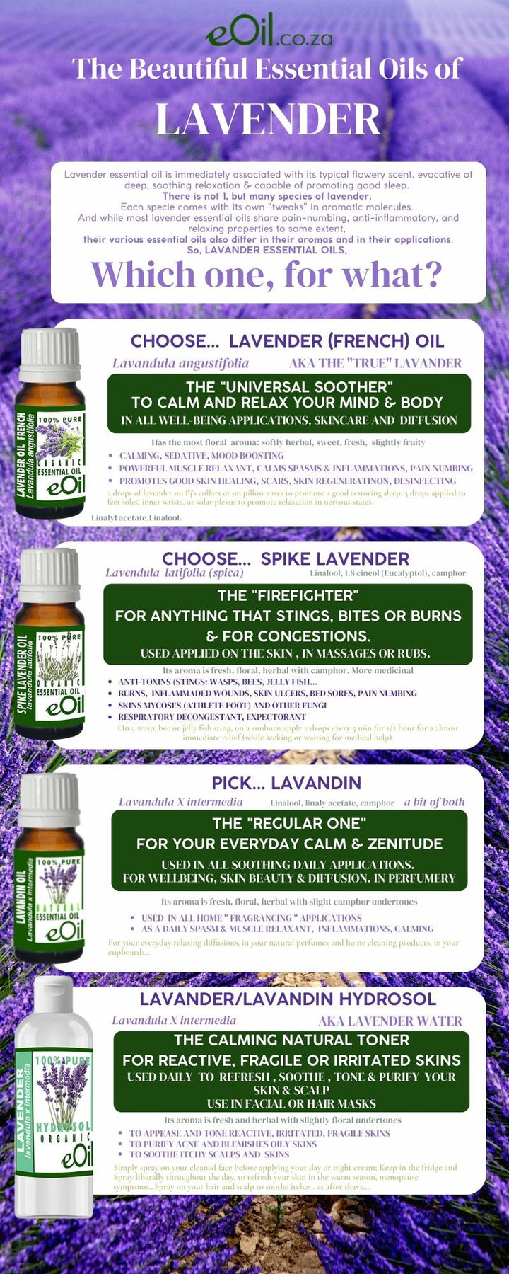 Lavender Spike Essential Oil Organic - 10 ml - eOil.co.za