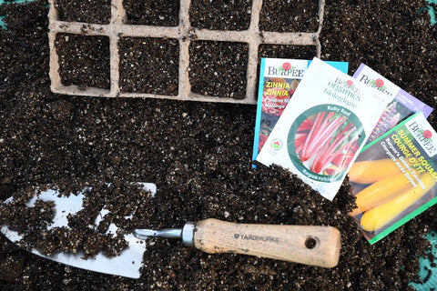 soil with seed packets and tools