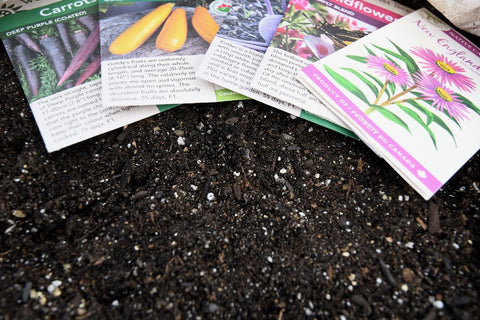 seed packets on soil