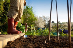 gardening boots and soil