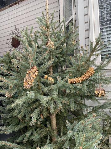 diy wild bird seed ornaments