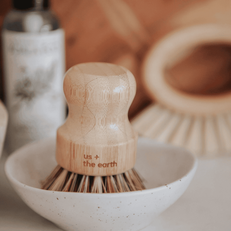 https://cdn.shopify.com/s/files/1/0267/0241/3901/products/pot-brush-eco-fibre_1024x.png?v=1694833275