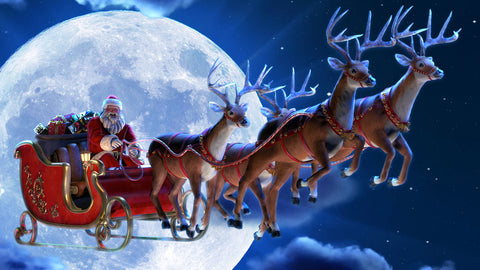 What are the names of the reindeer on santas sleigh