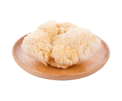 A photo of Lion's Mane Mushrooms.