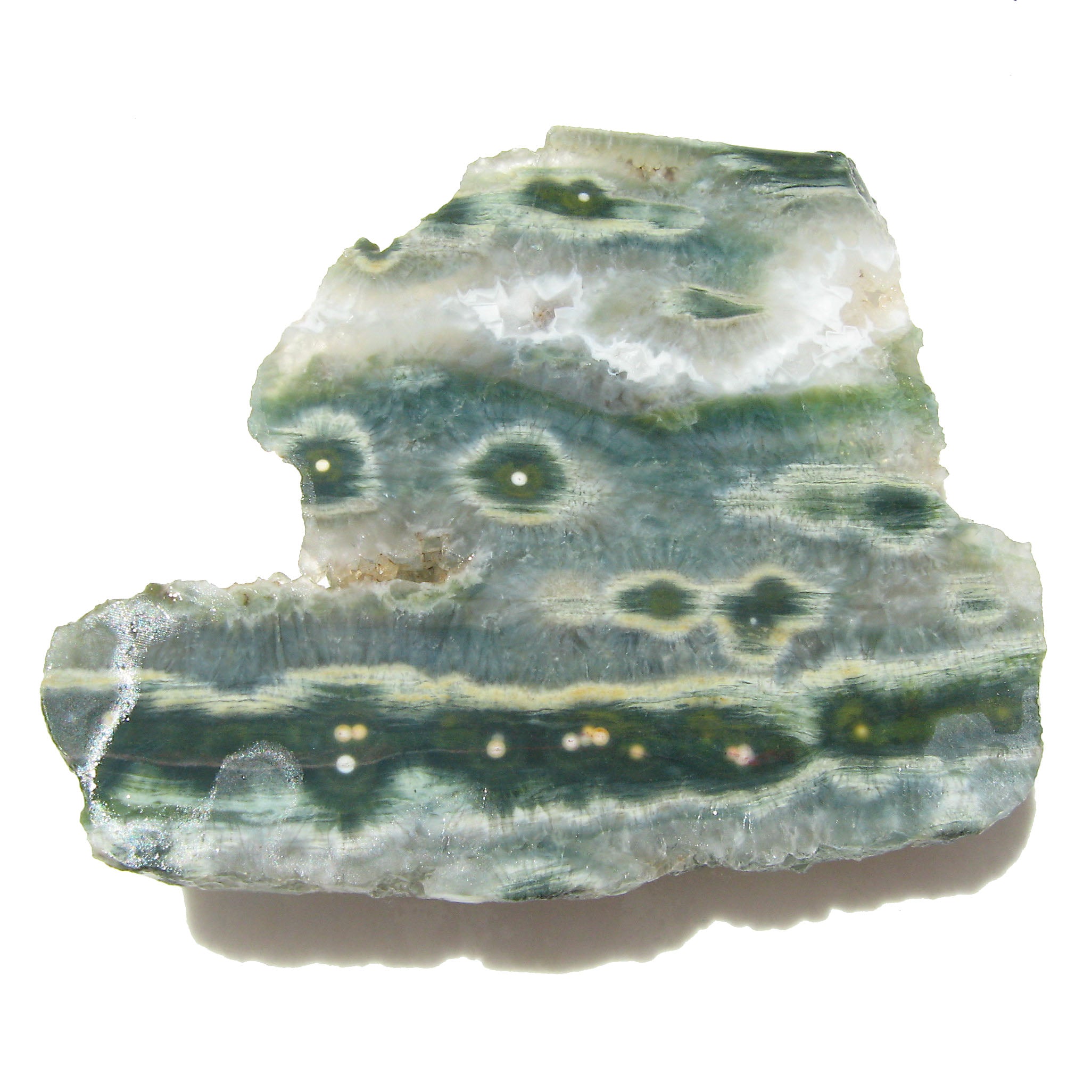 Jaspe Océan orbiculaire atlante brut minéraux crystaux