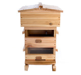 Warre beehive