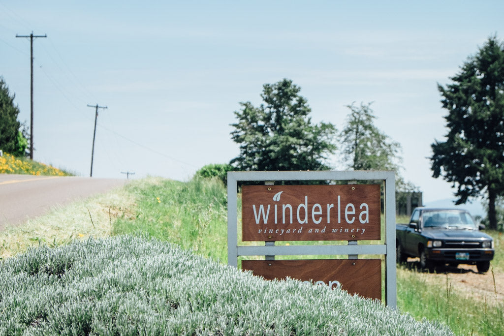 Winderlea bee thinking blog front sign