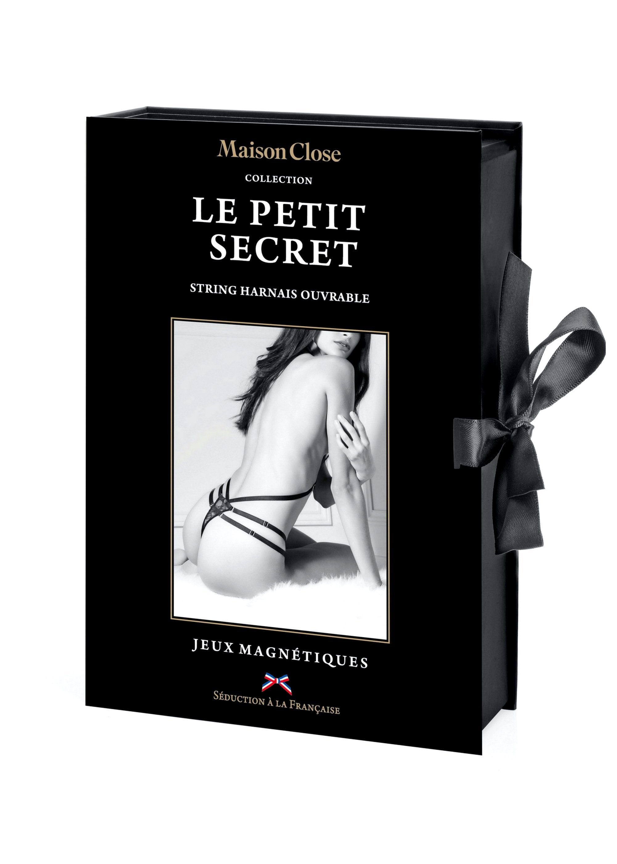 Le Petit Secret Magnetic Thong with Harness