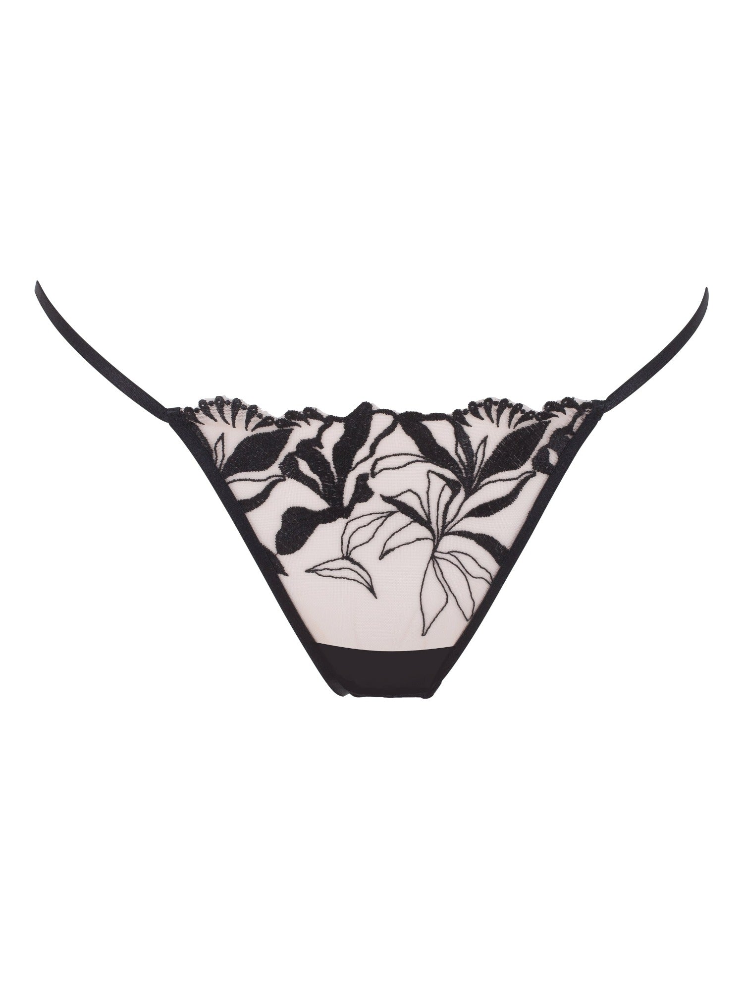 Persephone Brief