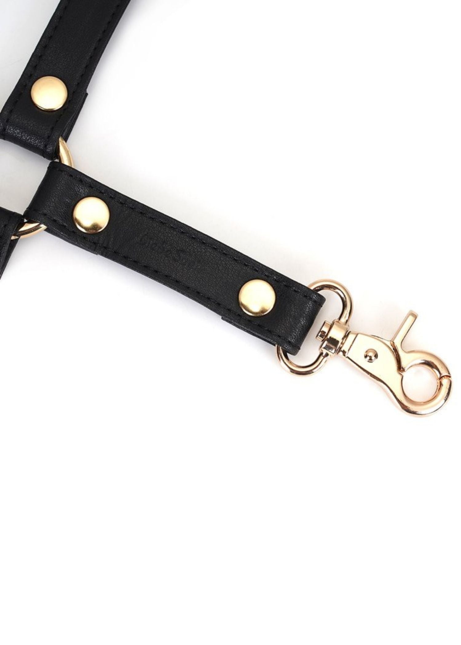 Dark Secret Leather Hogtie