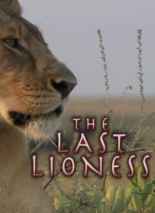 Documentaire La Derniere Lionne