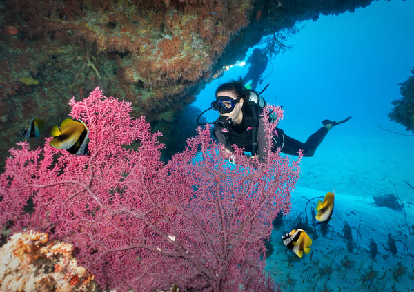 scuba diver diving in ocean with colourful reef and fish