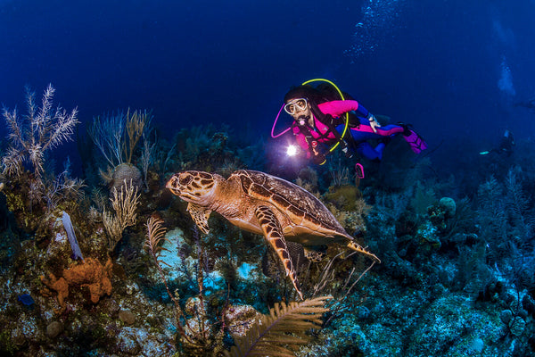 Scuba diver diving in Cayman Islands with turtles