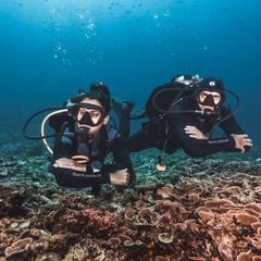 2 divers close to each other underwater