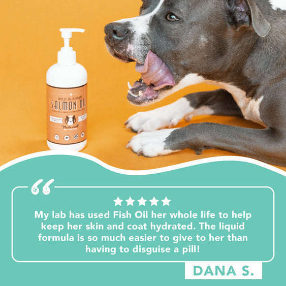 can fish oil cause diarrhea dogs