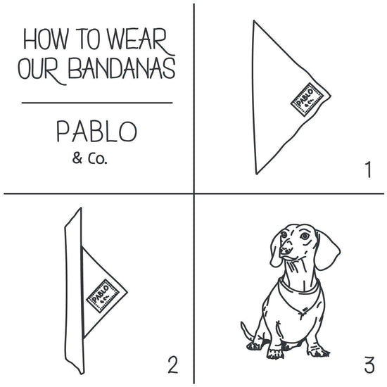 Los Angeles Dodgers x Fresh Pawz - Signature Hoodie | Dog Clothing