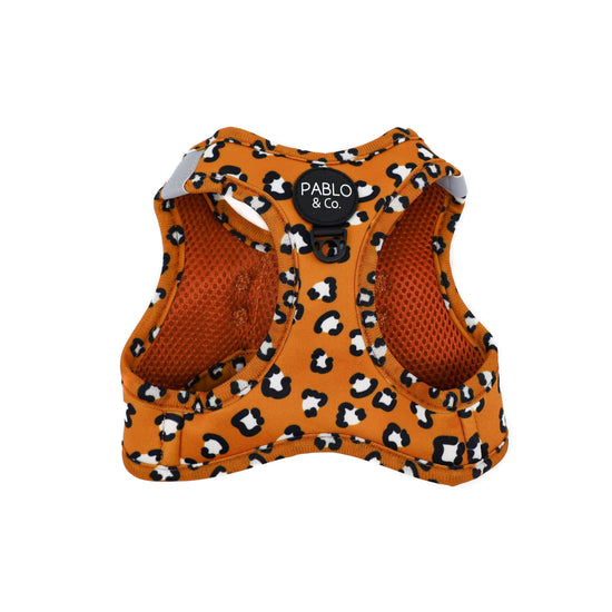 The Houndstooth Limited Edition Cat Harness & Leash Set XS (Kittens) / Your Cat Backpack