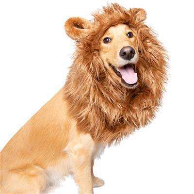 Pet Project LA - Pet Krewe Lion Mane Pet Costume for Medium and Big Dogs