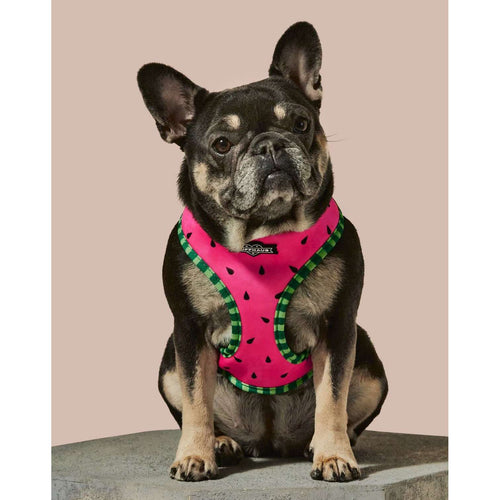 Ruffhaus NYC What-A-Melon Reversible Harness