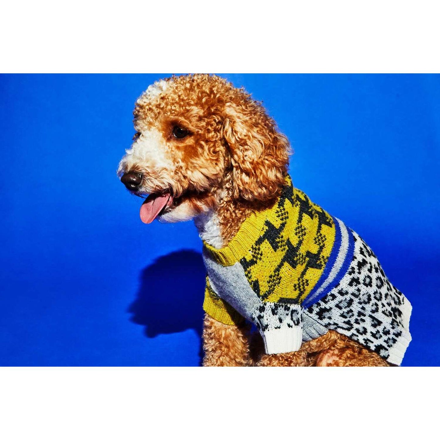 Fresh Pawz Leopard Print Satin Dog Jacket - XL