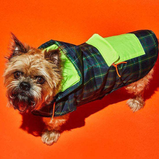 Seafoam/Grey Colorblock Nylon Puffer Jacket – Ware of the Dog