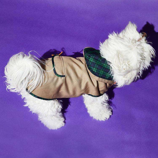 Seafoam/Grey Colorblock Nylon Puffer Jacket – Ware of the Dog