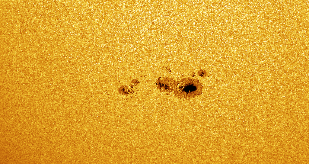 Sunspot AR3590 with Baader Herschel Prism Mk2 and QHY Imaging Camera in False Color