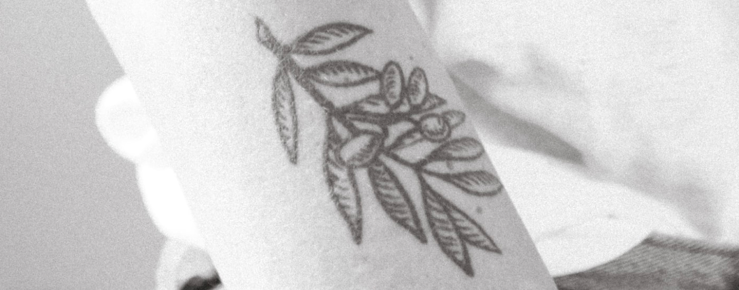 Olivenzweig Tattoo