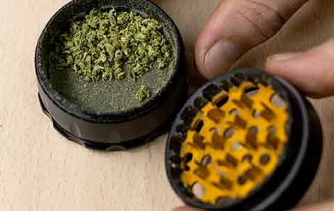 weed grinder with ground up weed in it