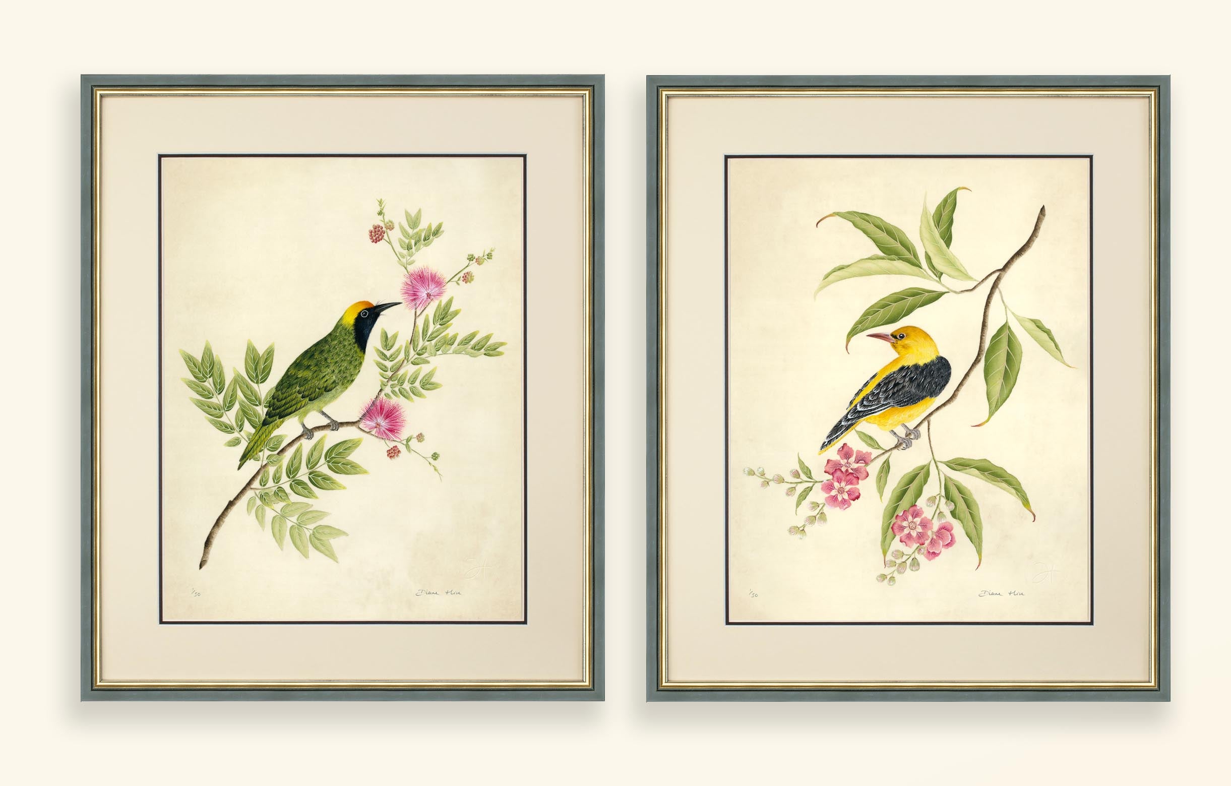 Vintage bird and flower wall art prints set of two