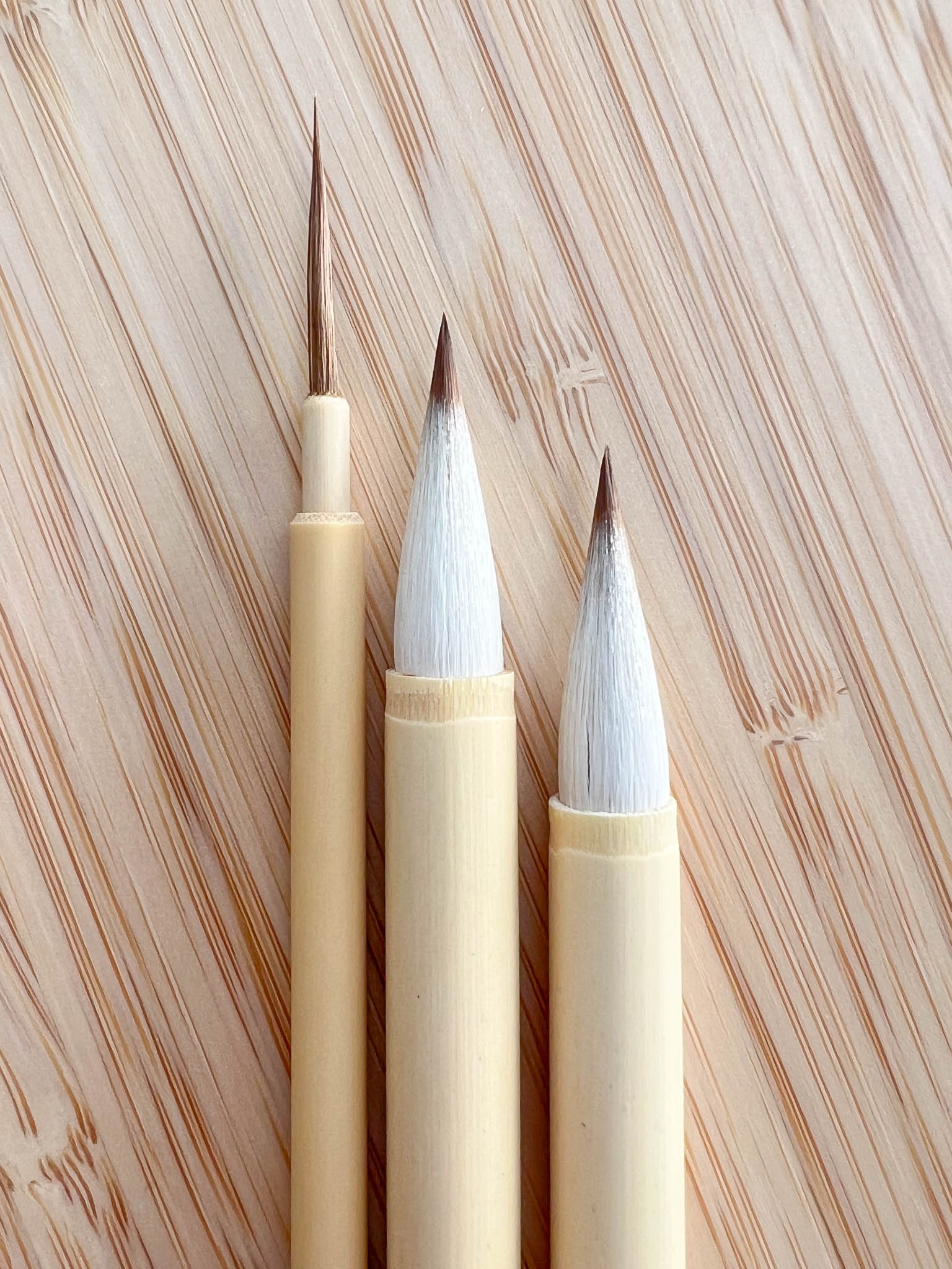 Chinese paint brushes showing the animal hair brush tip goat deer and weasel