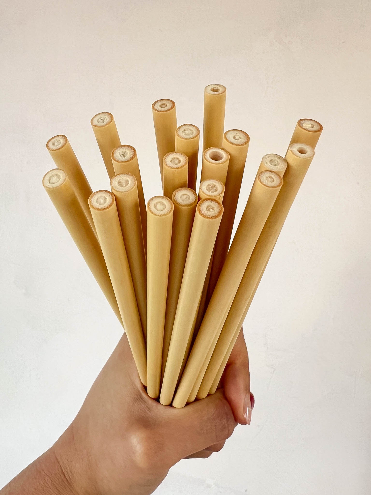 Chinoiserie paint brushes showing the natural bamboo handle