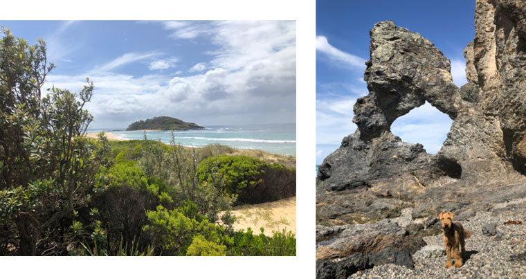 Shell Harbour - Bermagui (270km)