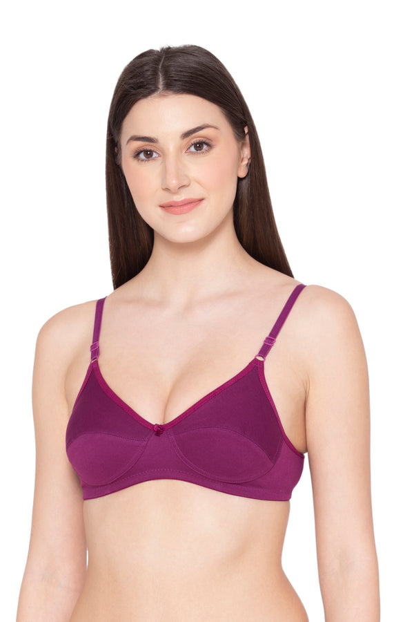 HOSIERY GROVERSONS PARIS BEAUTY BRA PACK OF 6 BHAVYA, MULTI at Rs 345/piece  in Patna